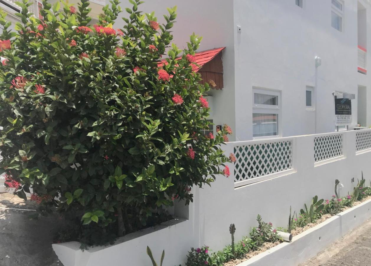 Cleopatra Villas - Sea View Rodney Bay Exteriör bild